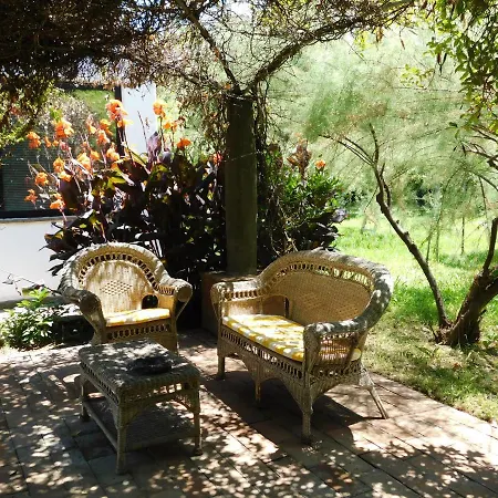 Depandance Con Piscina Salata - Tulipano * Cascina