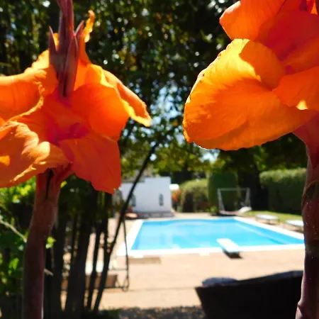 Apartamento Depandance Con Piscina Salata - Tulipano *